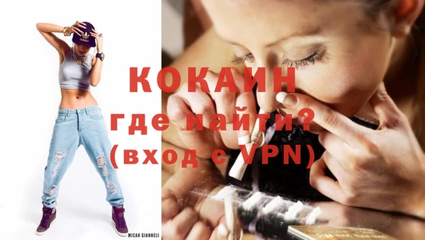 индика Козельск
