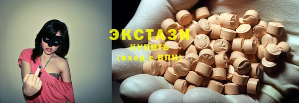 индика Козельск