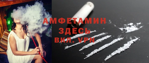 индика Козельск