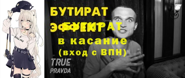 индика Козельск