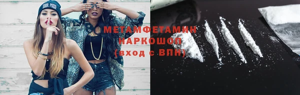 индика Козельск
