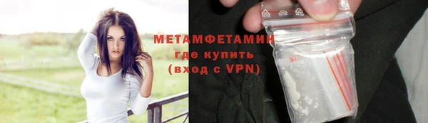 индика Козельск