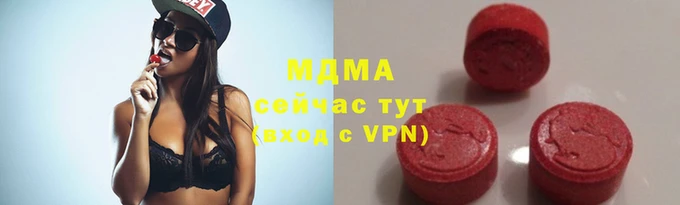 индика Козельск