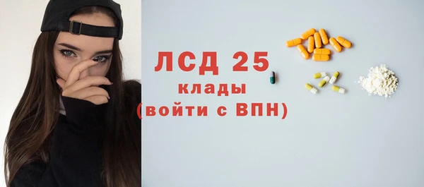 индика Козельск