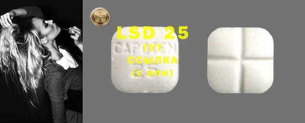 индика Козельск