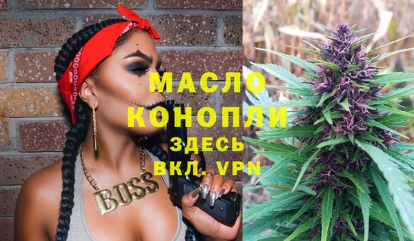индика Козельск