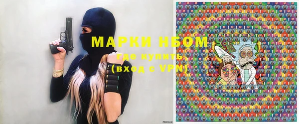 индика Козельск