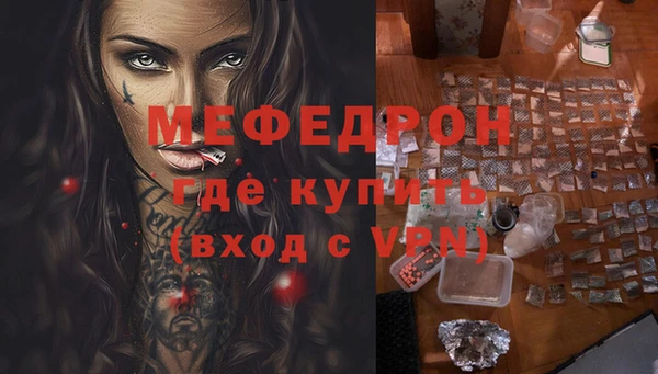 индика Козельск