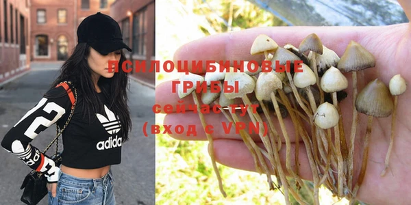 бошки Козловка