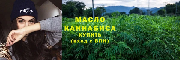 индика Козельск