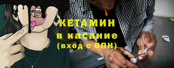 индика Козельск