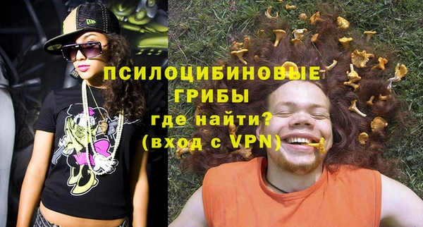 бошки Козловка