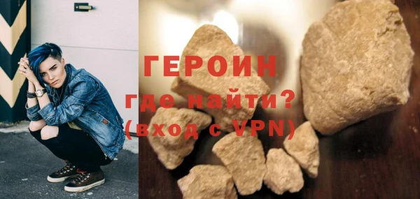 индика Козельск
