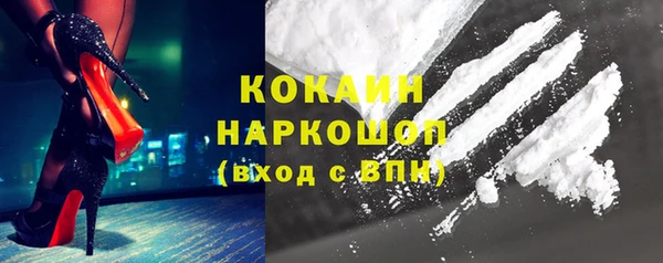 индика Козельск
