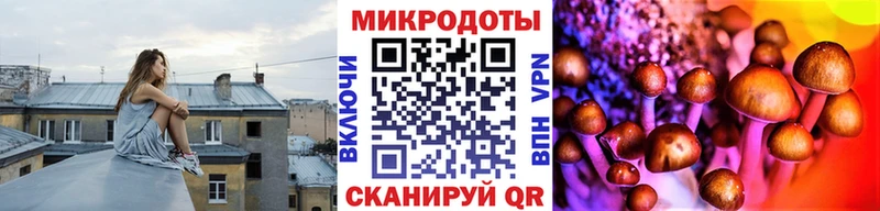 Купить закладки  Питкяранта  Галлюциногенные грибы прущие грибы 