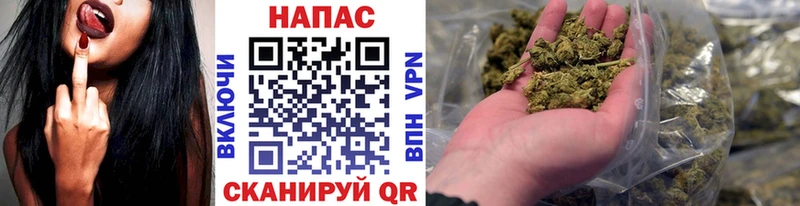 Купить где  Питкяранта  МАРИХУАНА семена 